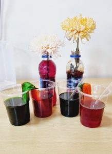 Capillary action